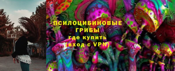 мдпв Беломорск