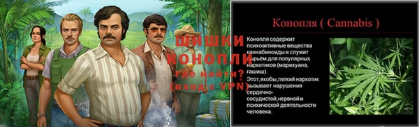 ГАЛЛЮЦИНОГЕННЫЕ ГРИБЫ Белоозёрский